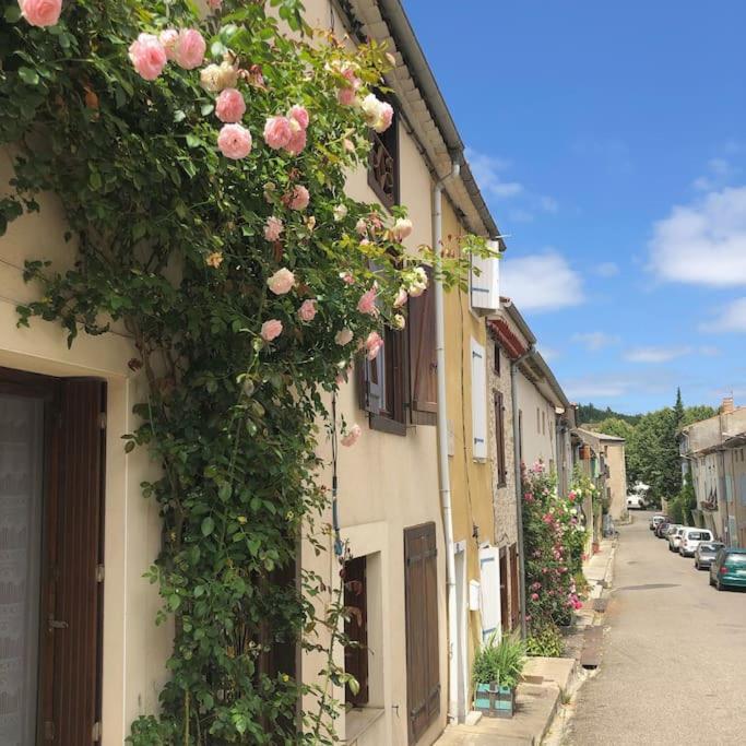 La Maison De Mama C: Charming French Village Home Sainte-Colombe-sur-l'Hers Ngoại thất bức ảnh